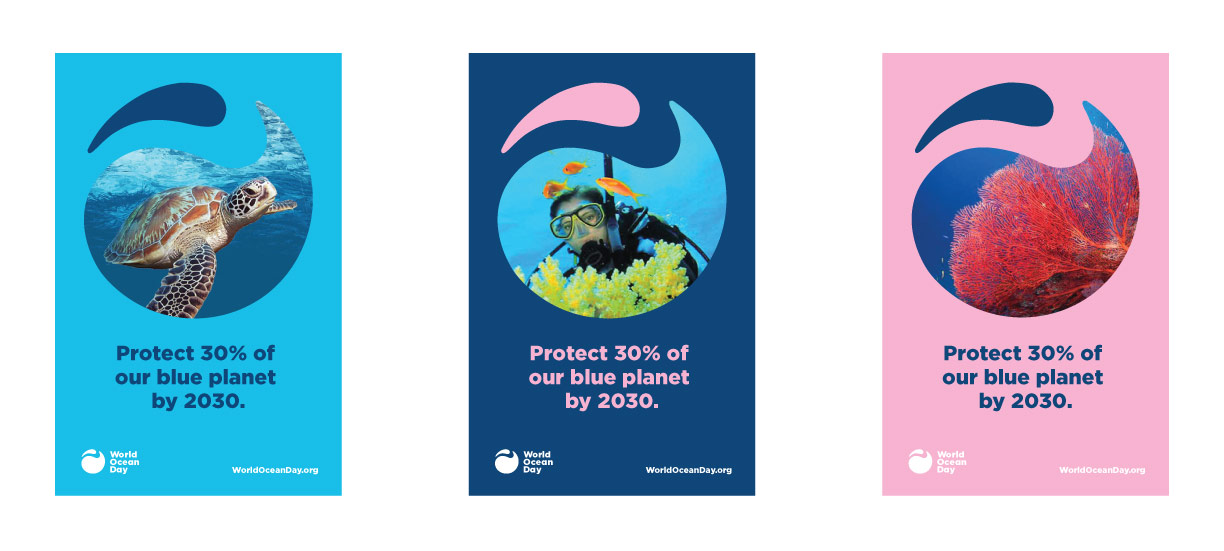 Posters promoting protect 30% of our blue planet by 2030