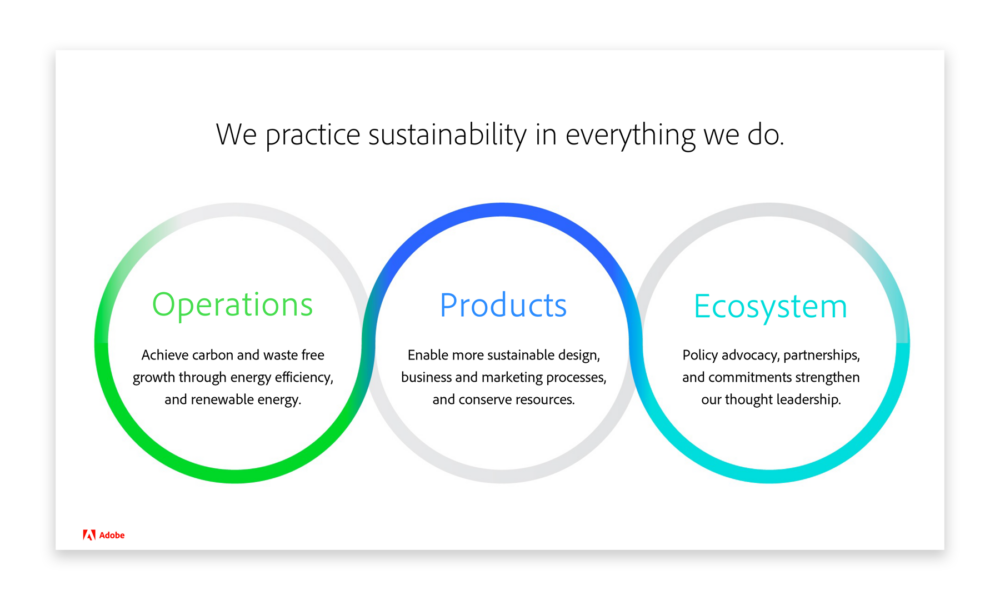 Sustainability Pillars Infographic