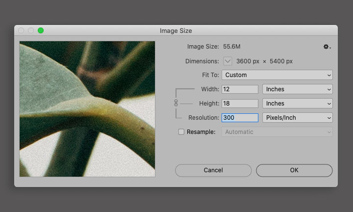 Photoshop settings showing the image size dialog box